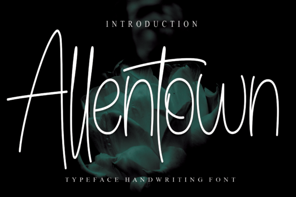 Allentown Font: Elegant Script for Business