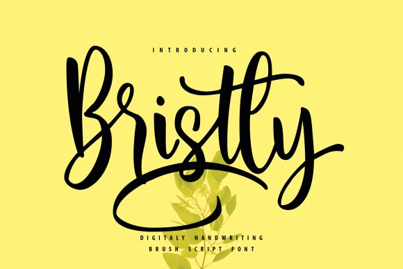 Bristly: A Delicate Handwritten Font