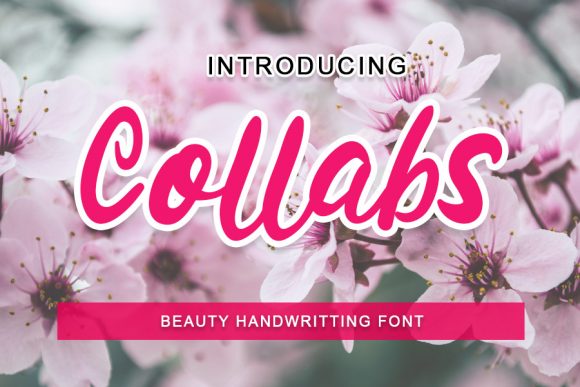 Collabs: Elegant Script for Branding